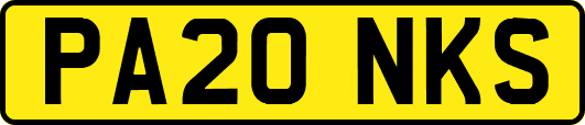 PA20NKS