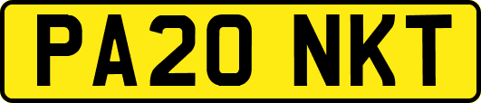 PA20NKT