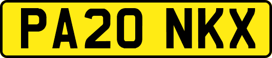 PA20NKX