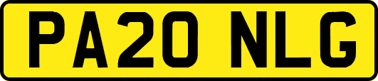 PA20NLG