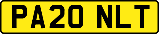 PA20NLT
