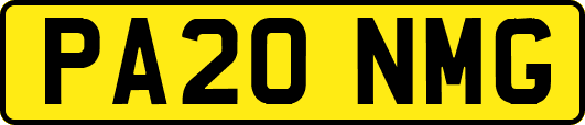 PA20NMG