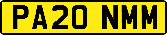 PA20NMM