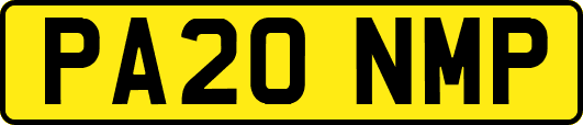 PA20NMP