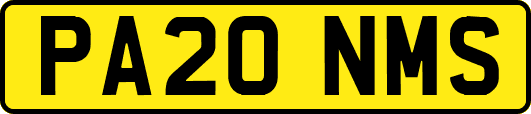 PA20NMS