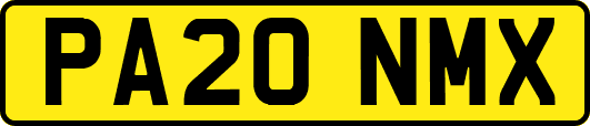 PA20NMX