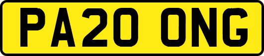 PA20ONG
