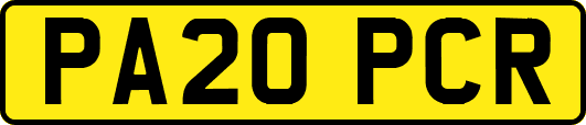 PA20PCR