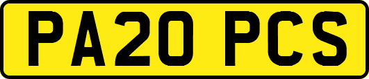 PA20PCS