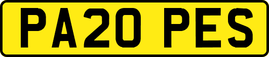 PA20PES