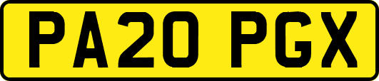 PA20PGX