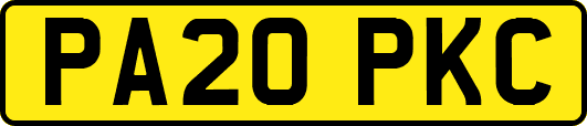 PA20PKC