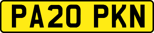 PA20PKN