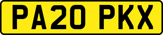 PA20PKX