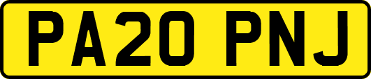 PA20PNJ