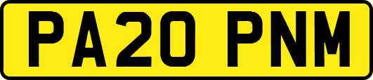 PA20PNM