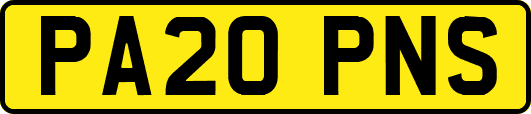 PA20PNS