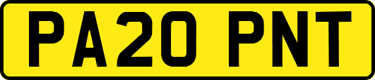 PA20PNT