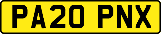 PA20PNX