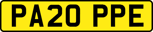 PA20PPE