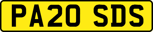 PA20SDS