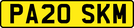 PA20SKM