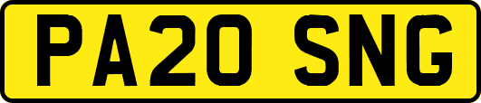 PA20SNG