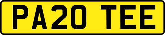 PA20TEE