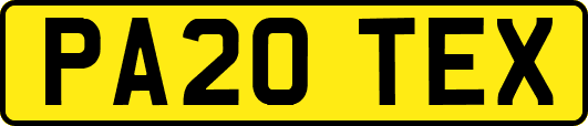 PA20TEX