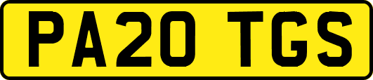 PA20TGS