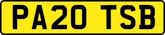 PA20TSB