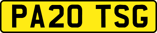 PA20TSG
