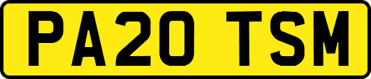 PA20TSM