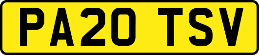 PA20TSV