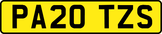 PA20TZS