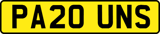 PA20UNS