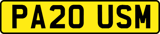PA20USM