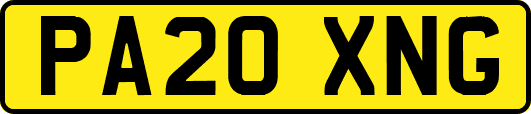 PA20XNG