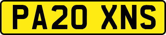 PA20XNS