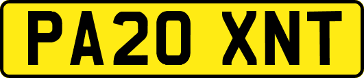PA20XNT