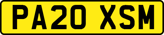PA20XSM
