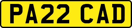 PA22CAD