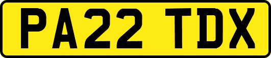 PA22TDX