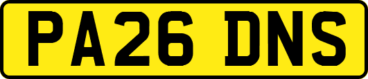 PA26DNS