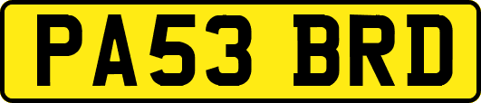PA53BRD