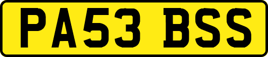 PA53BSS
