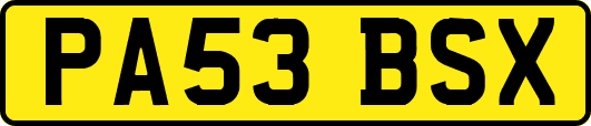 PA53BSX