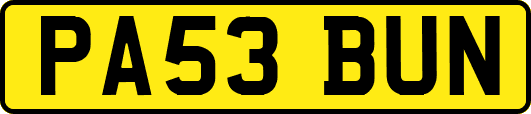 PA53BUN