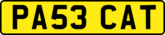 PA53CAT