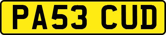 PA53CUD